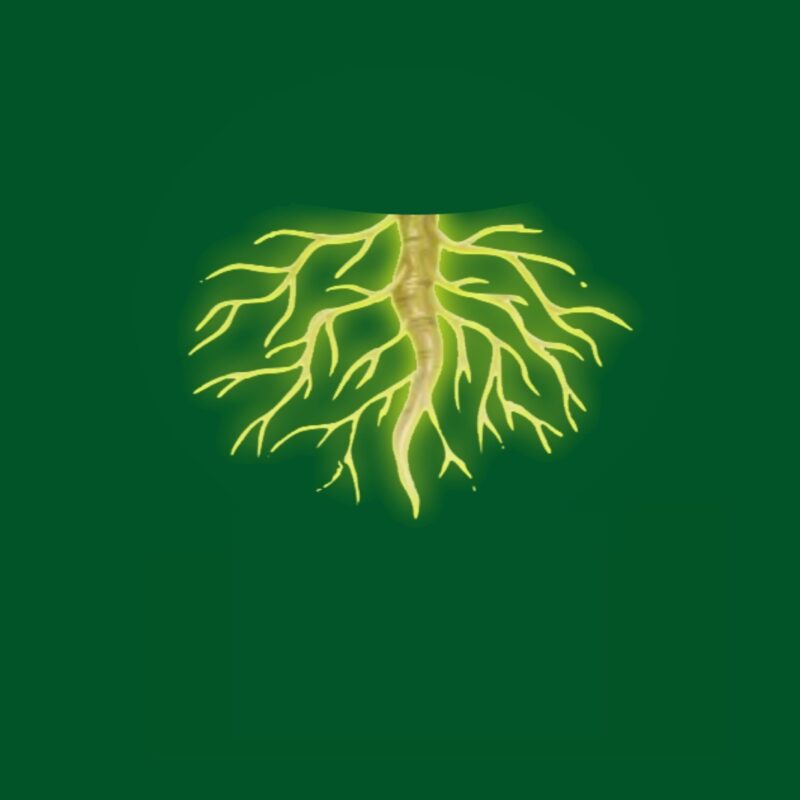 Industria Agrícola