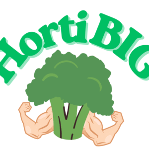 HortiBig